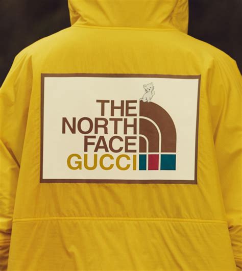 north face gucci cat|Gucci north face icon.